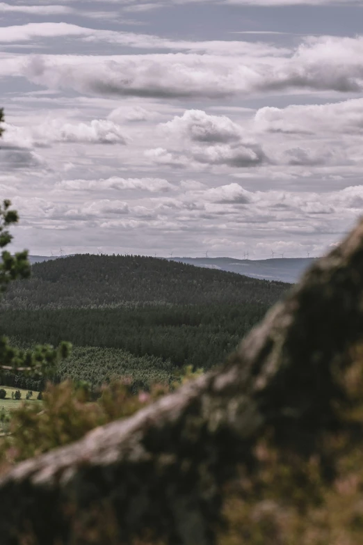 the countryside is dotted with pine trees and sp brush