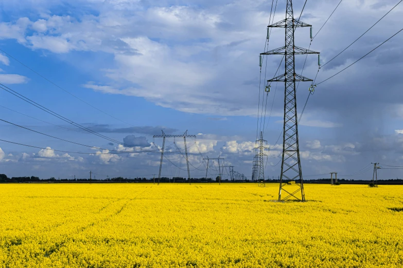 a field with high voltage electric lines and clouds