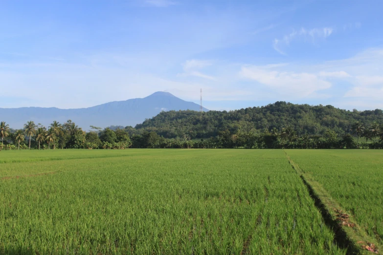 a large field is shown, near to mountains