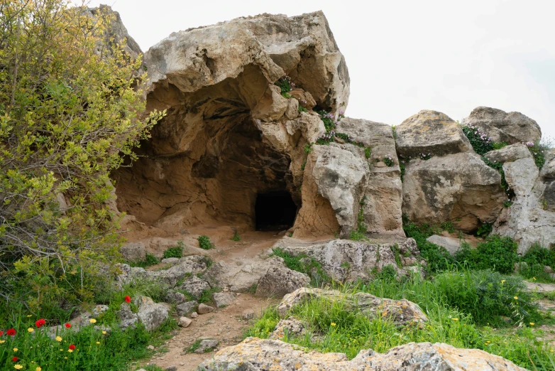 there is a rock formation with trees in the background