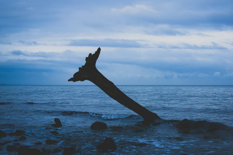 an unusual looking piece of wood sticking out from the ocean