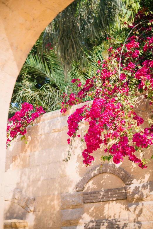 a po taken through an arched doorway with a tree and flowers