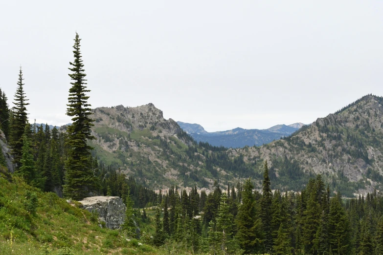 a scenic view of mountains from an overlook