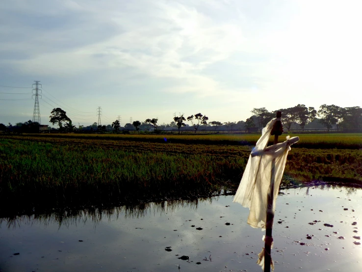 a woman in a field standing in the rain holding a long umbrella