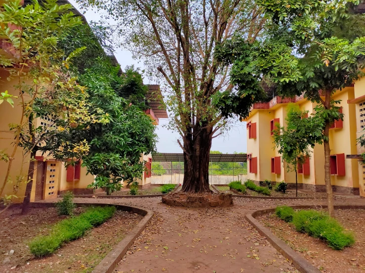 a small yard with tree in between two buildings