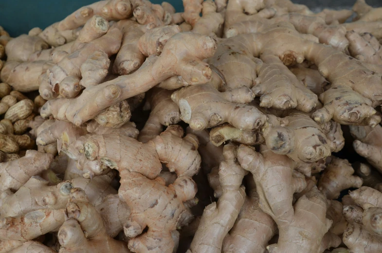 large amount of fresh ginger roots in bowl