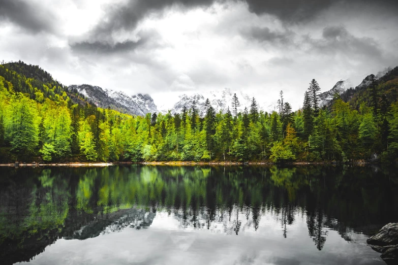 trees line the shore of a lake surrounded by mountains