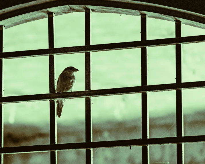 a small bird is sitting in a metal cage