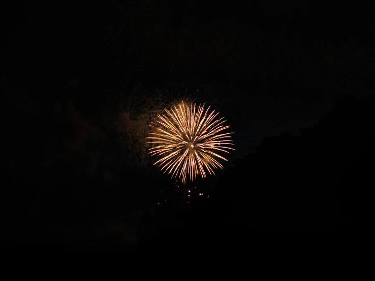 the fireworks light up the night sky, illuminating orange