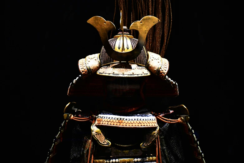 the ancient armor has many pieces of elaborate design