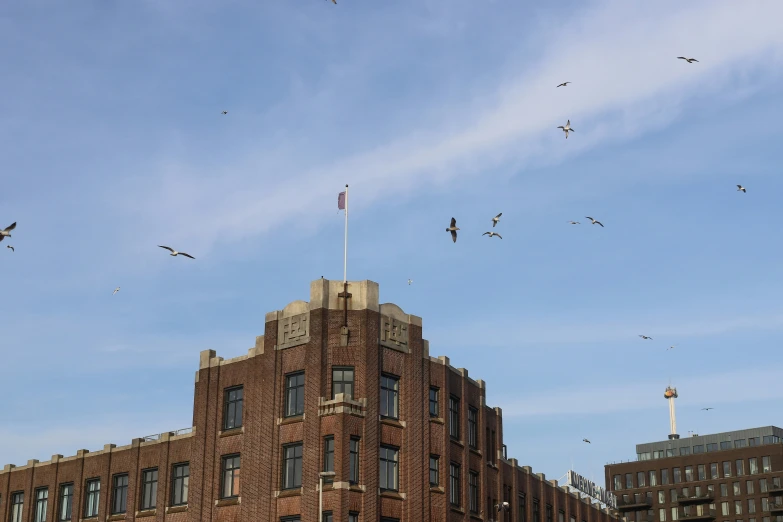 pigeons are flying near the tower of a building