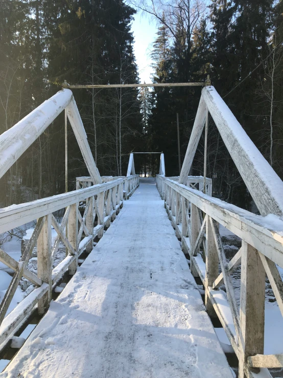 a walkway covered in snow next to pine trees