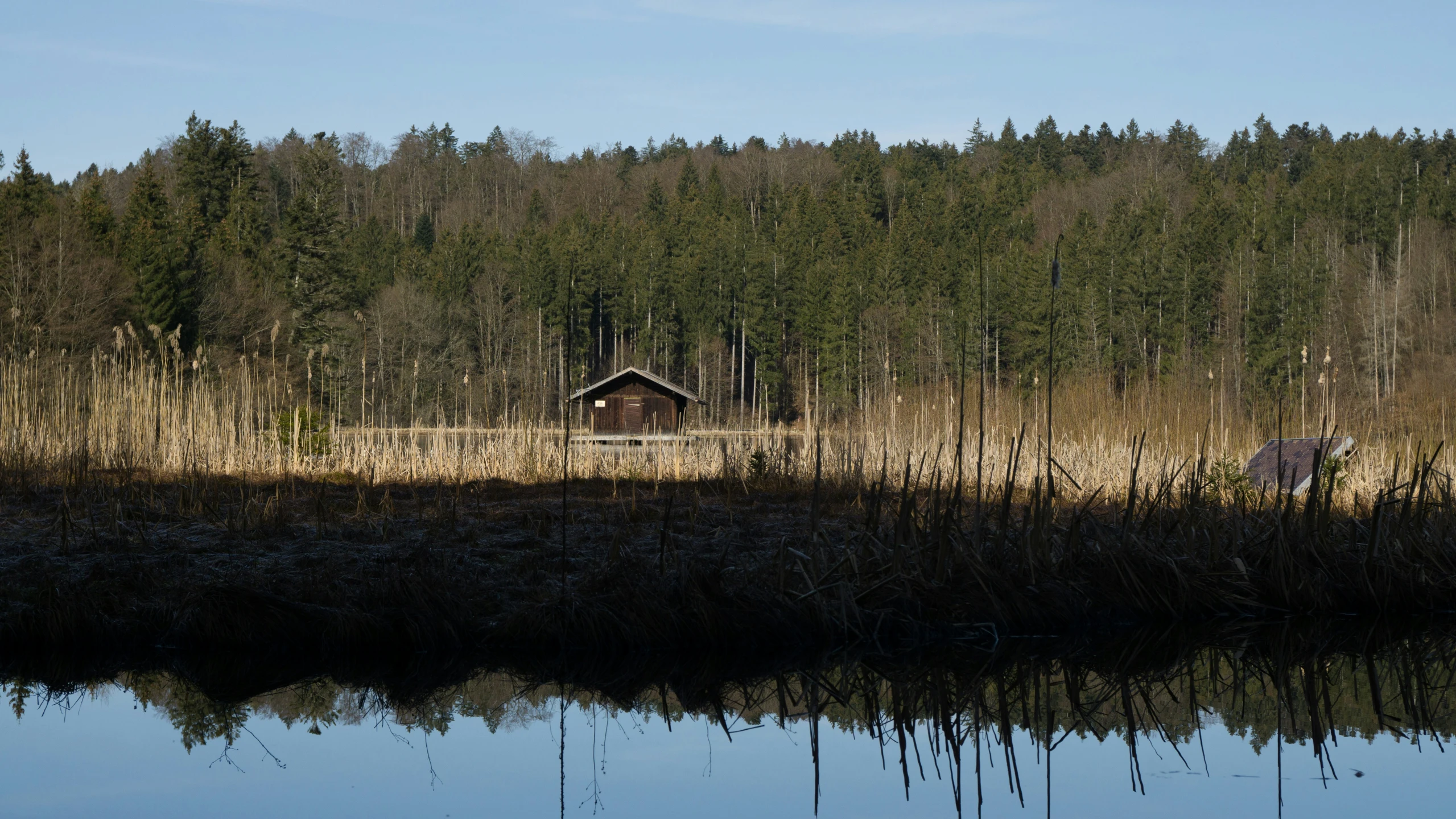 an old cabin in the woods sitting next to a lake