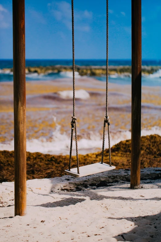 the sand in front of the water has swings with rope and ropes