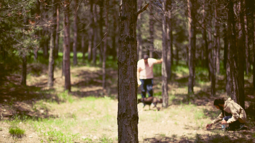 two men in the woods one is  a small fir tree