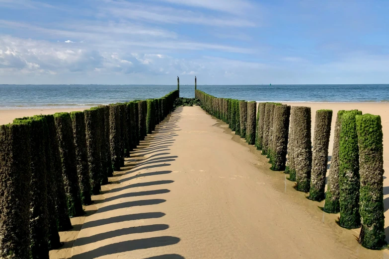 a row of seaward sculptures that can be seen along the beach