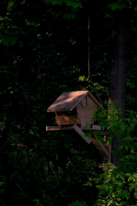 a small bird house in the middle of trees