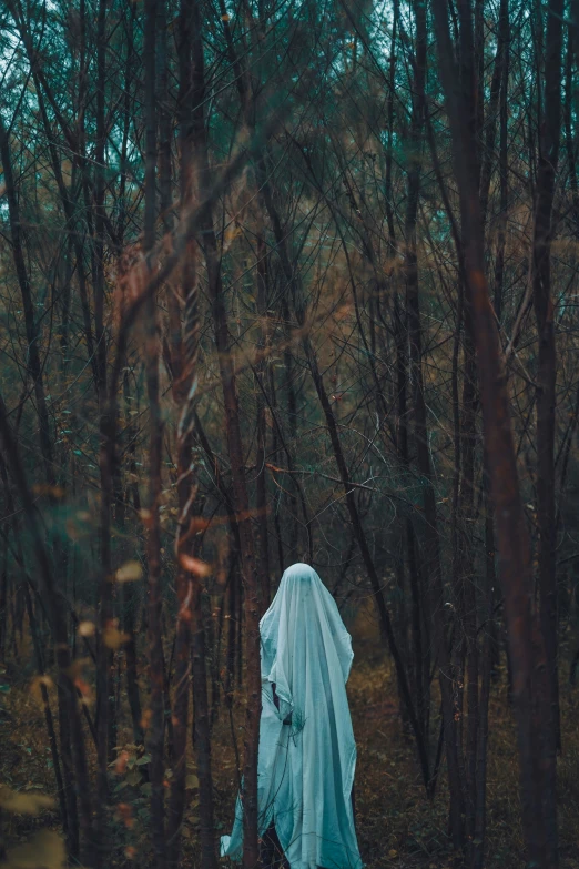 a ghostly figure wearing blue walking through a forest