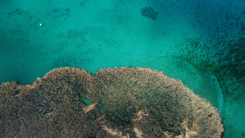an aerial view of the beach from above