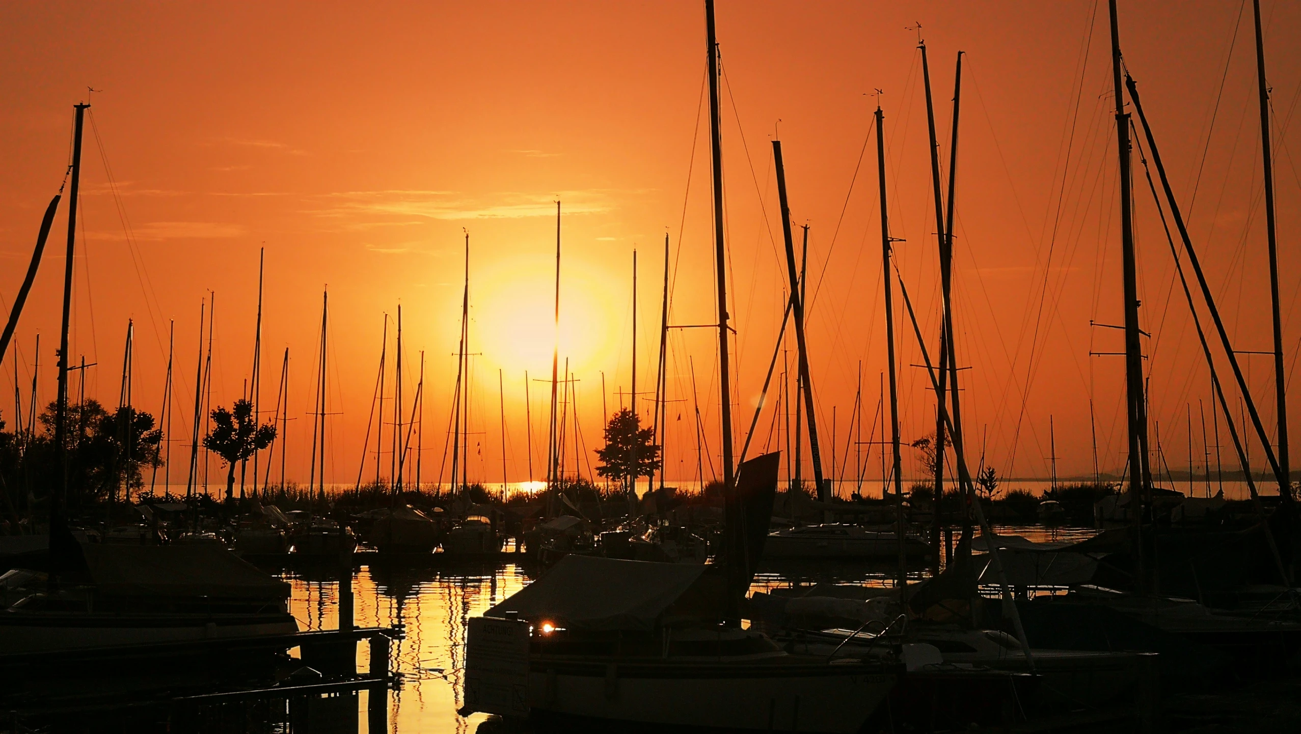 several sailboats sit in the water as the sun sets