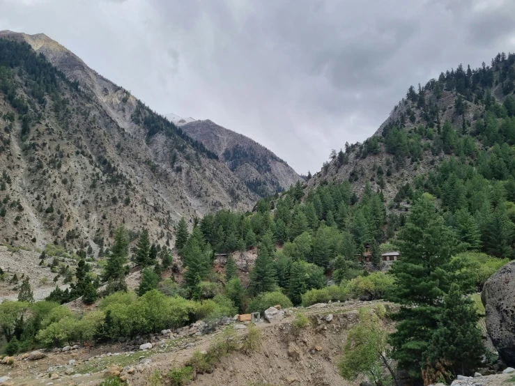 a mountain side that has some trees on it