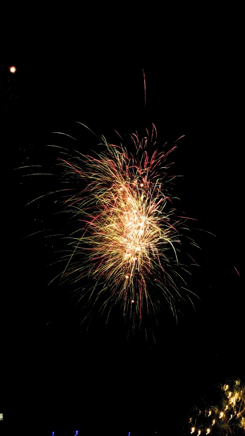 the fireworks are bright on the dark night sky