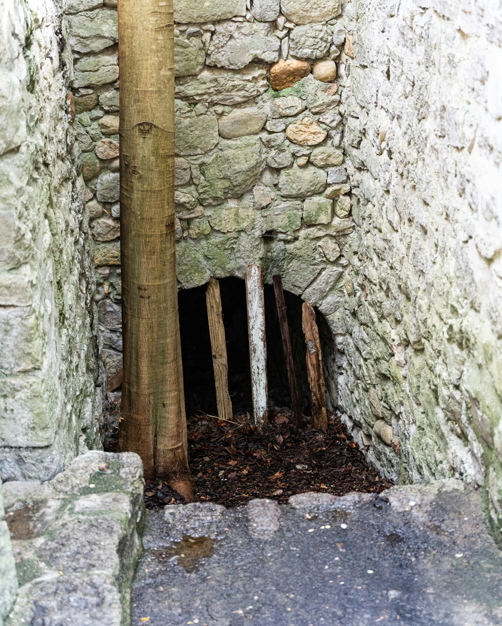 an old wall with stone steps and a door in the middle