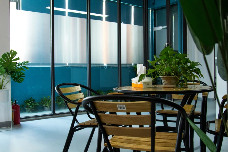 a table and chairs with plants in pots and potted grass