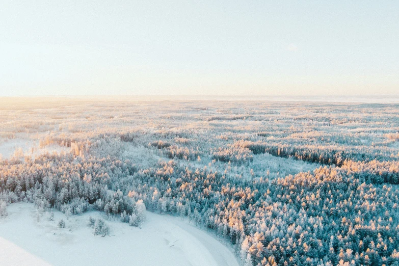 an aerial po of snow covered pine trees