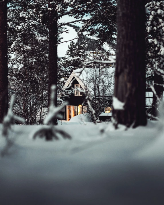 cabin nestled between pine trees on snow covered ground