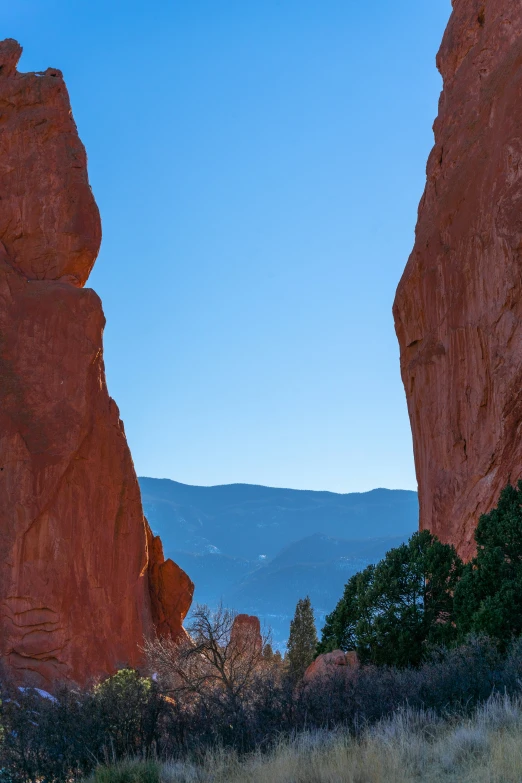 the mountains in the background are covered by red rocks