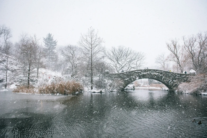 the snow has fallen and there is a bridge