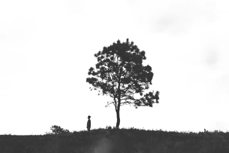 a person walking along the grass beneath a tree