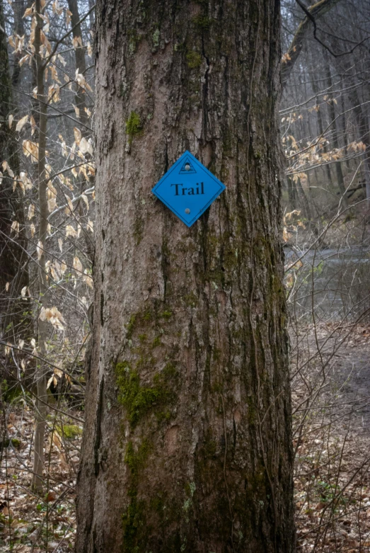 a trail sign is posted on a tree in a wooded area