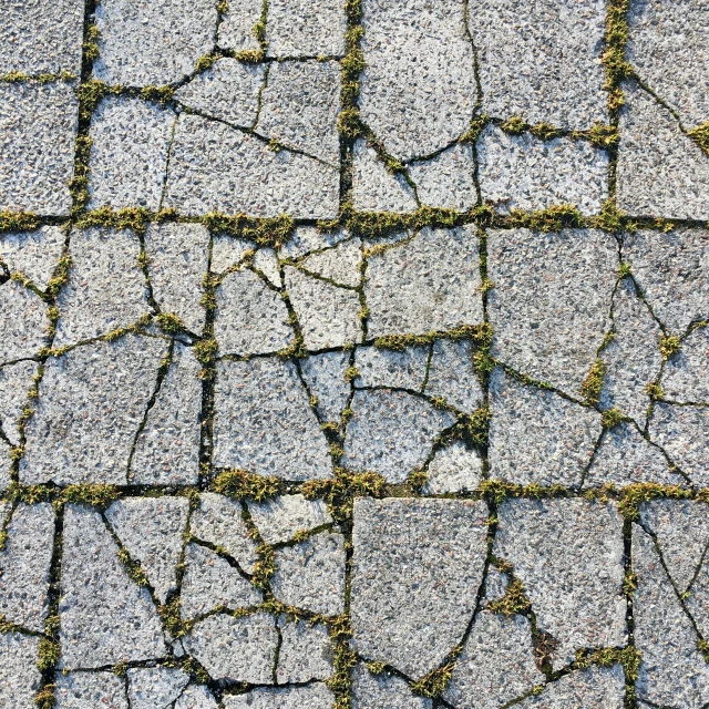 the sidewalk is broken and has grass growing on it