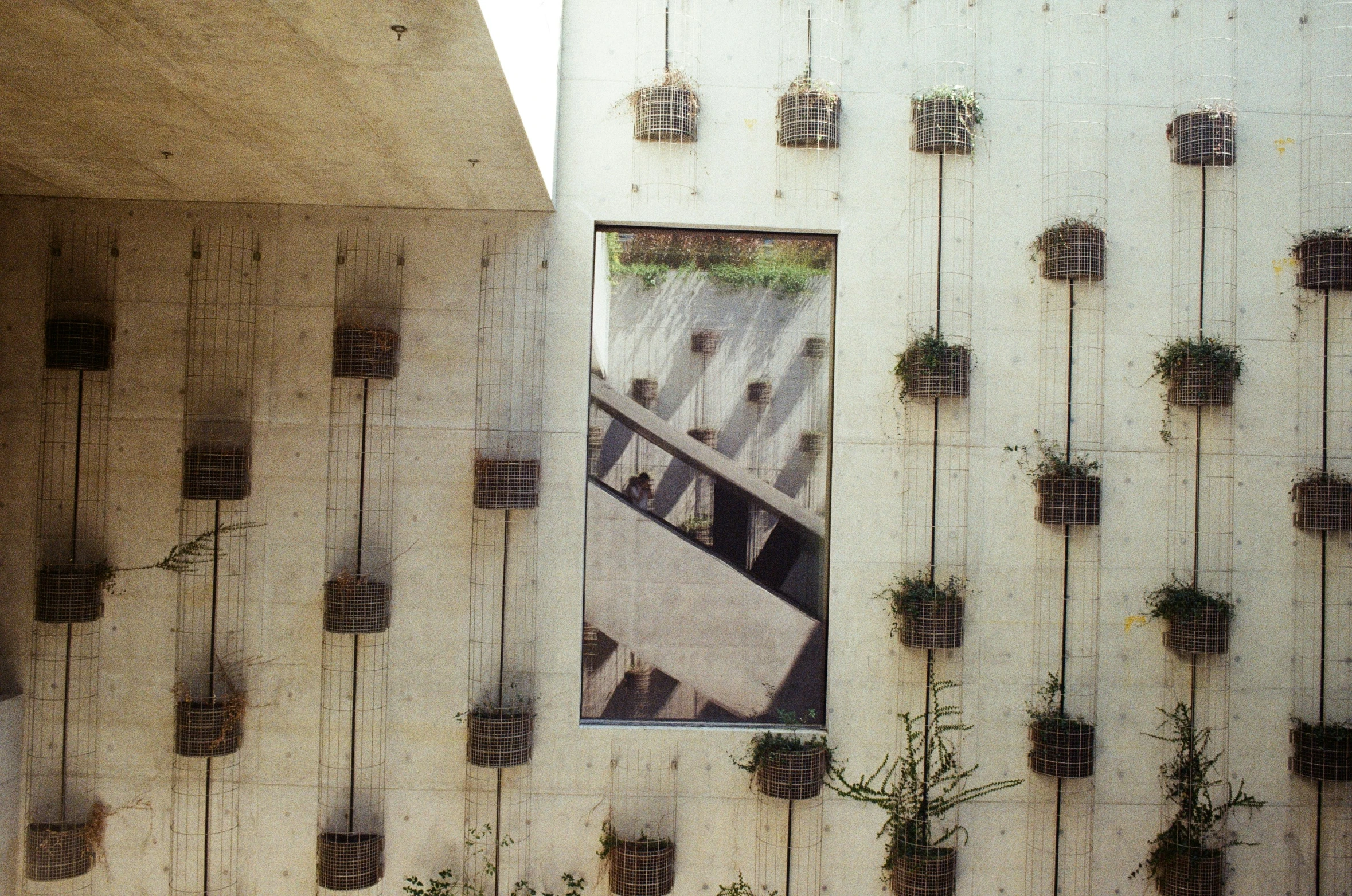 a wall with small potted plants on the sides and a building in the background