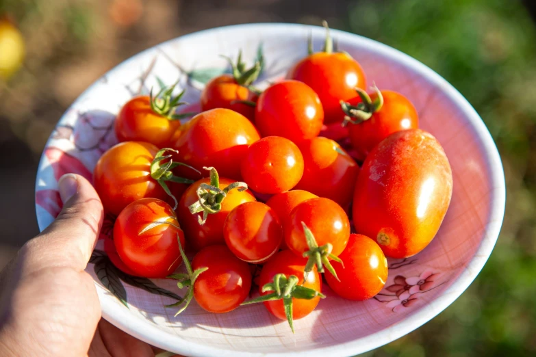 a woman holding up a white plate with lots of tomatoes on it