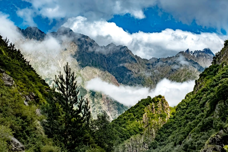 several mountains and trees that are in the woods