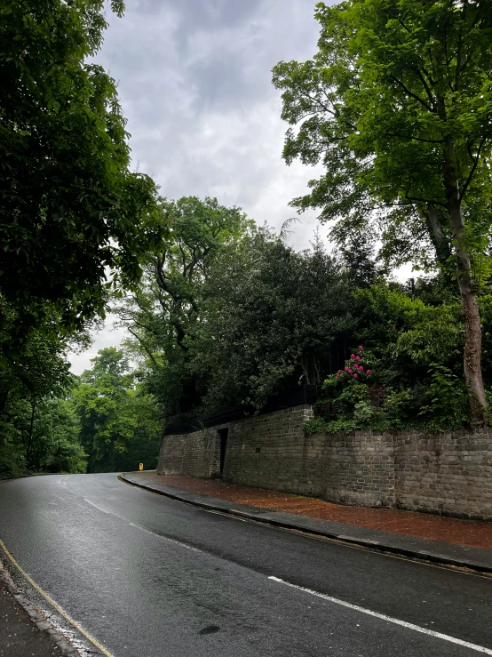 a road that has many trees on the side of it