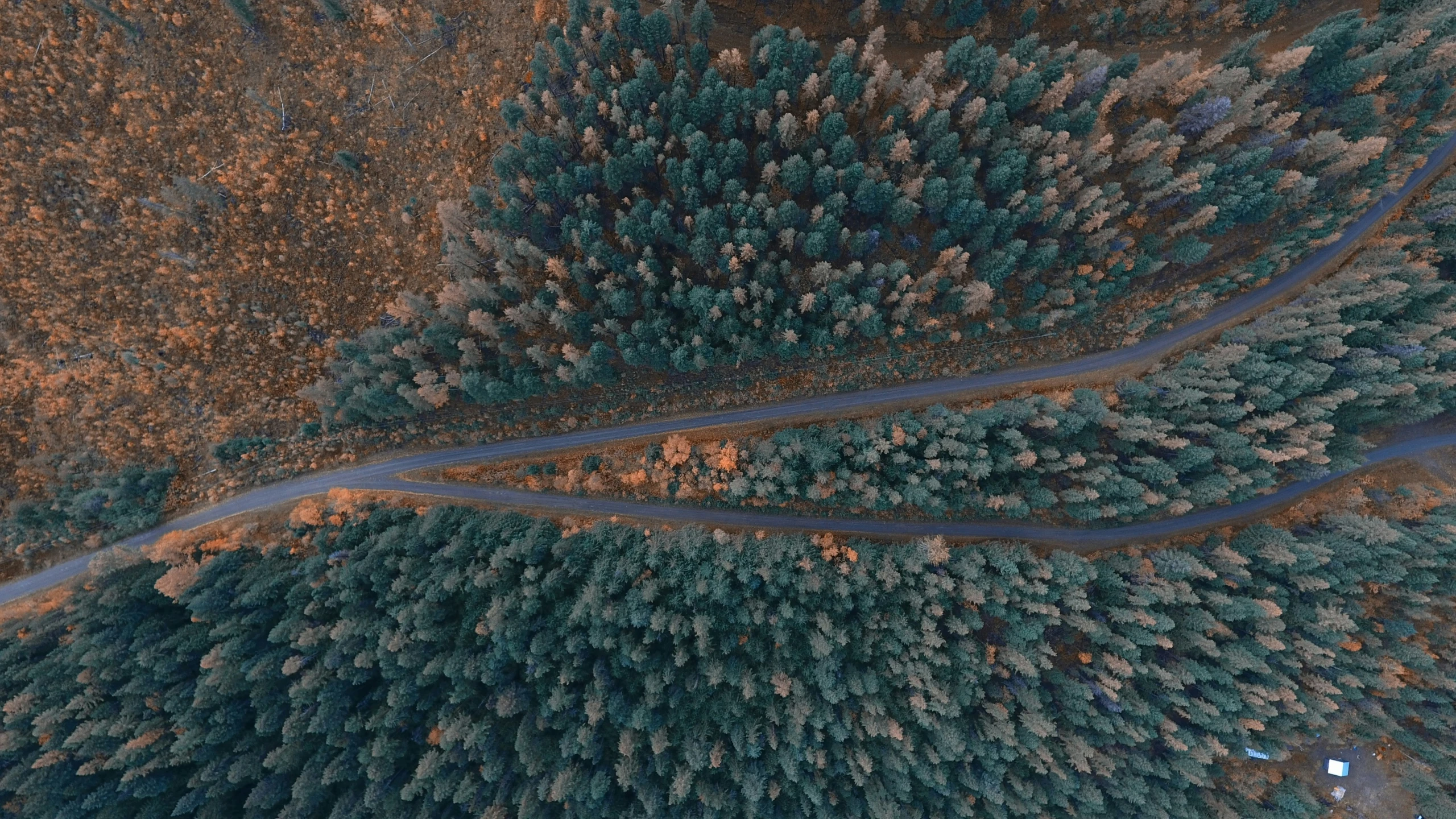 top down aerial view of trees, roads and mountains