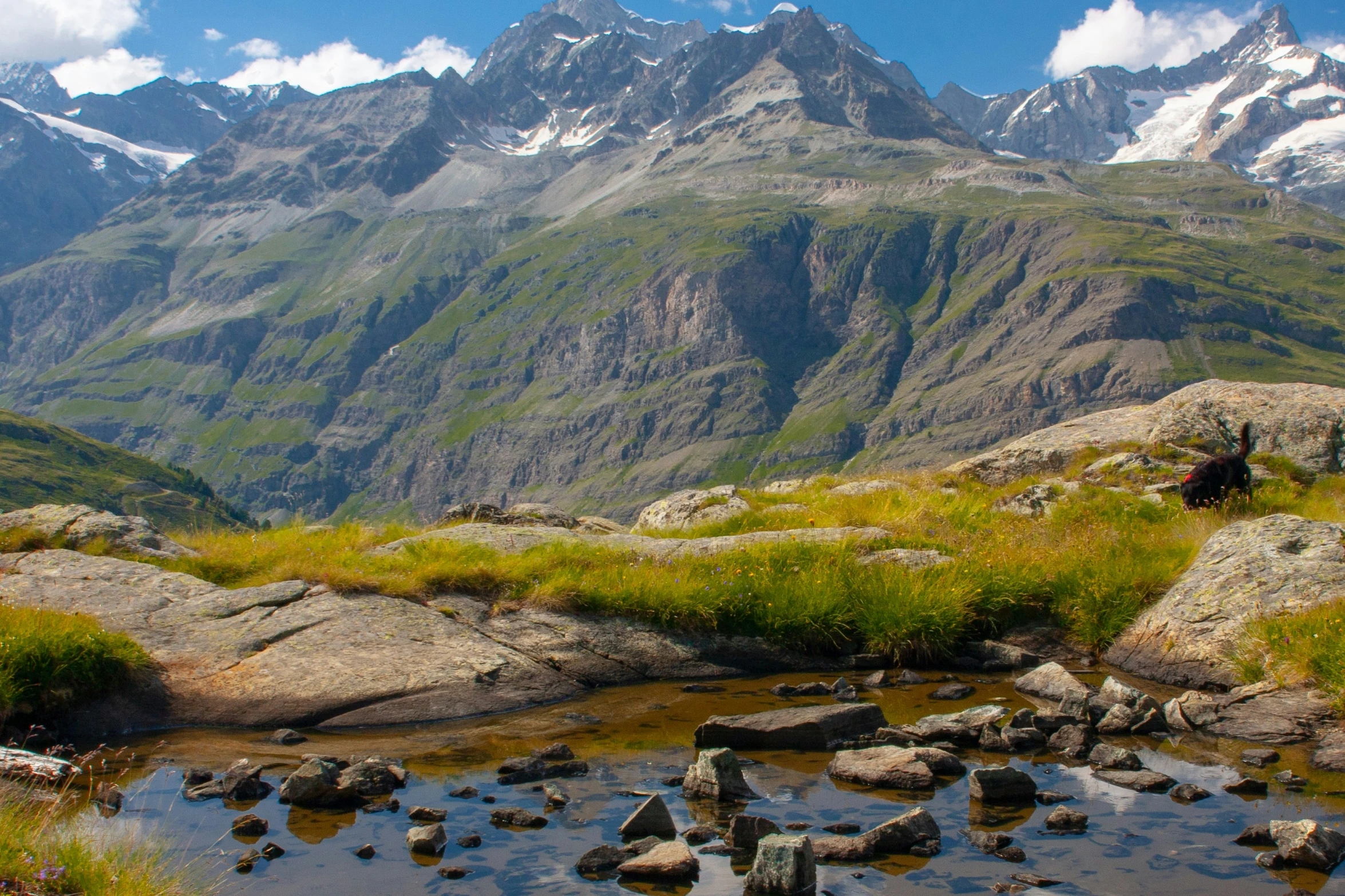 a mountain stream running through the grass with large boulders on the side