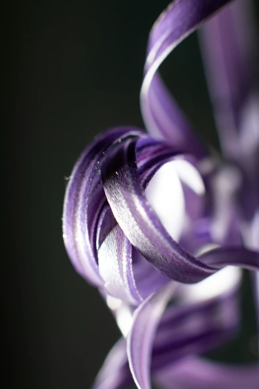 purple fabric spirals are made up of metal loops