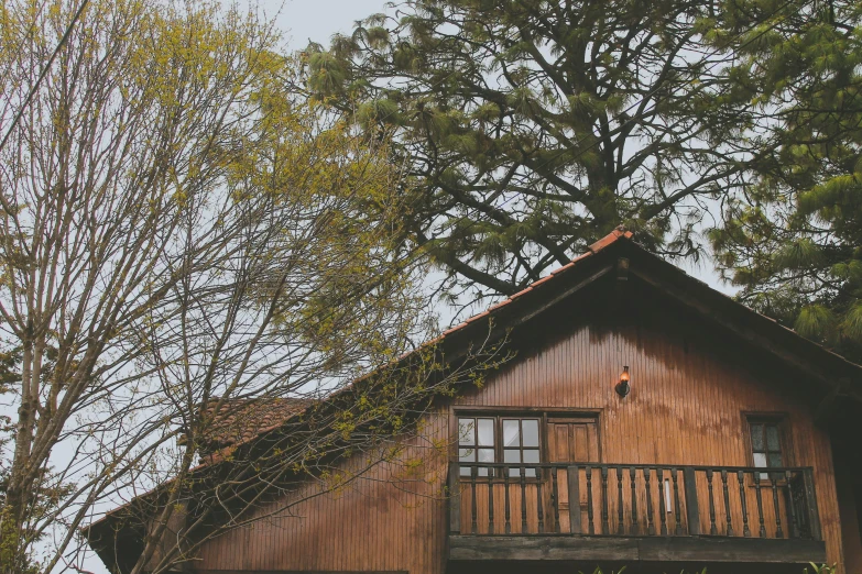 a rustic building with a tree in the foreground