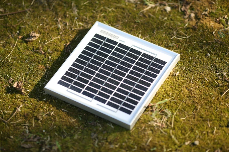 an object of keyboard sitting on grass looking tiny