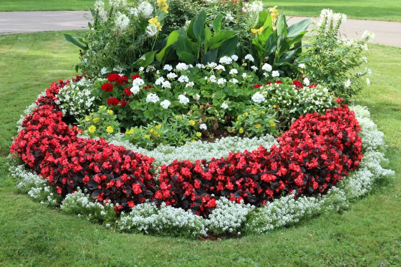 a circular flower bed with various colorful flowers growing in it