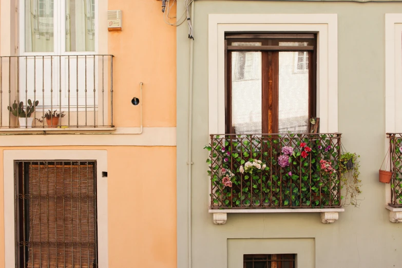 a building with plants growing in the window and on the side