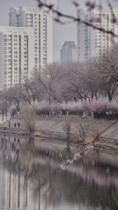 people are walking along a river and some trees