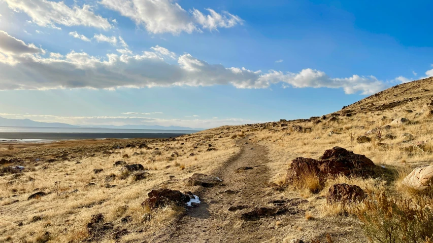 a lonely road near a small desert with a small patch of grass and some bushes