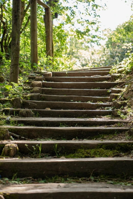 a very steep stone stair in the middle of the woods