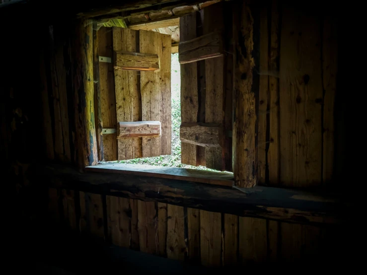 a dark wood door and window in an abandoned house